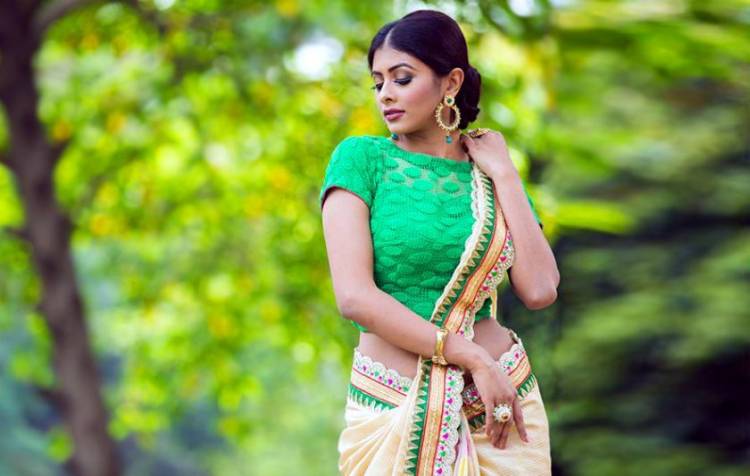 বৈচিত্র্যময় ব্লাউজ