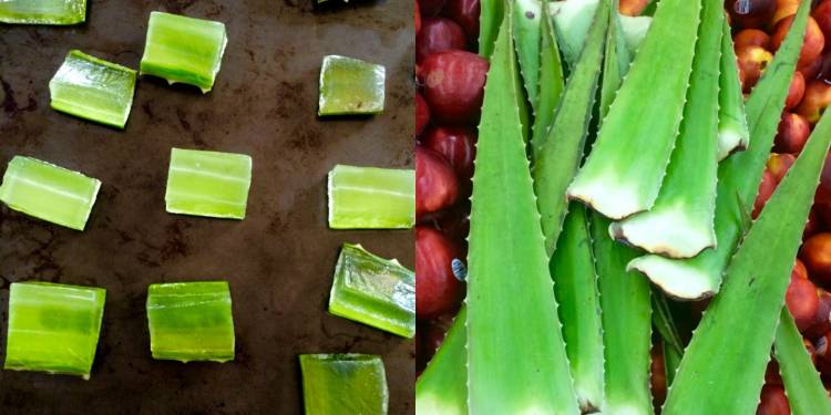 নানা রকমের আইস কিউব দিয়ে ত্বকচর্চা