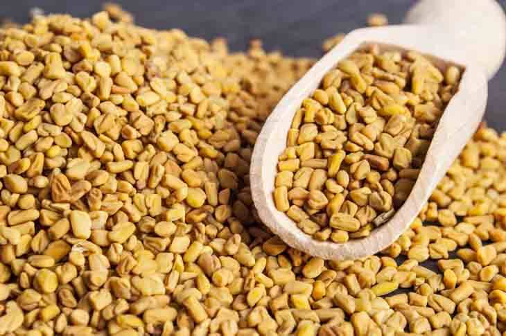 রূপচর্চায় মেথির ব্যবহার