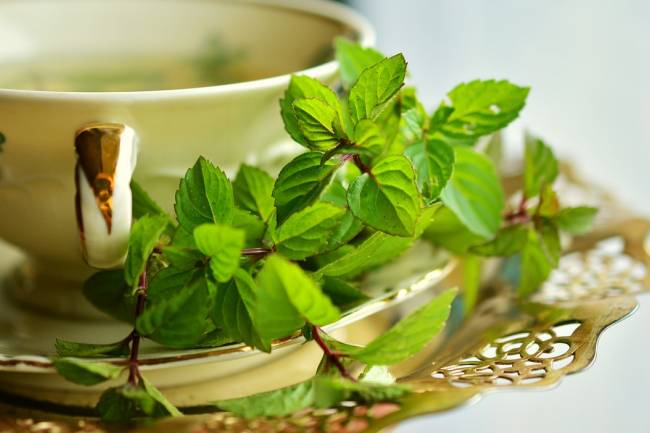 ওজন কমানোর জন্য গ্রীন টি কখন খাবেন ?